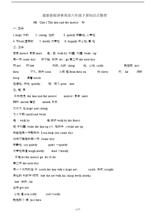 最新新版译林英语六年级下册知识点整理.docx