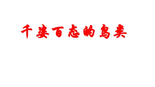 苏科版七年级下册生物 第12章 空中的生物  