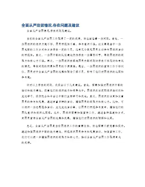 全面从严治团情况,存在问题及建议