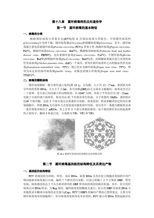 圆环病毒基本特征、基因组结构及其表达产物