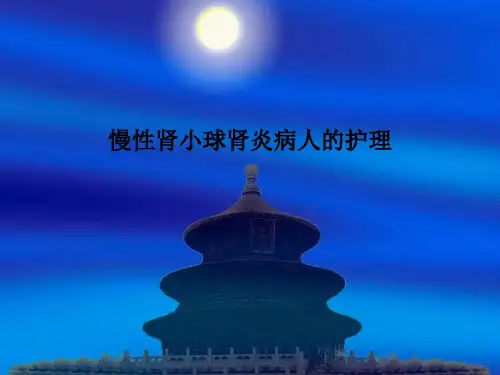慢性肾小球肾炎病人的护理PPT课件