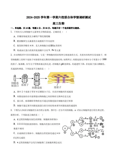 江苏省南京市六校联合体2024-2025学年高三上学期8月学情调研测试 生物 Word版含解析