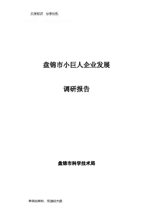 小巨人企业调研报告