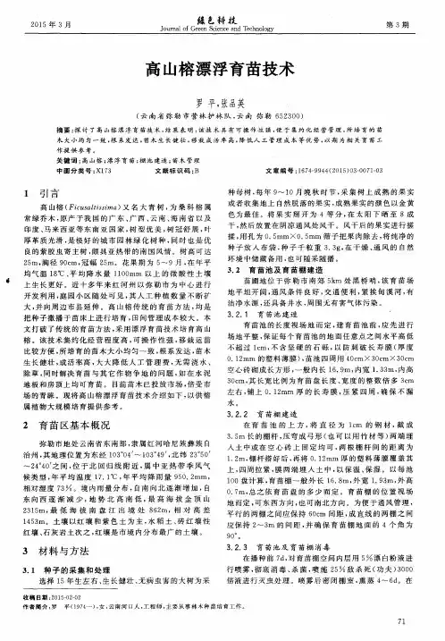 高山榕漂浮育苗技术