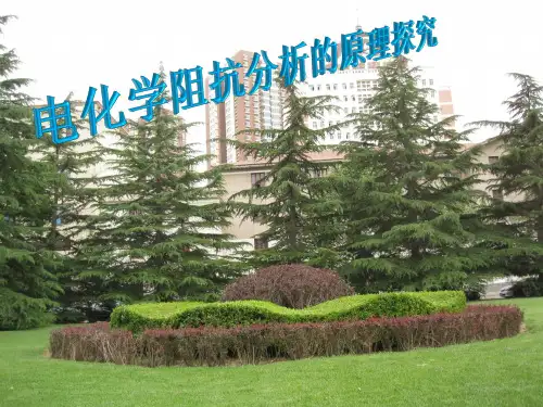 电化学阻抗原理资料