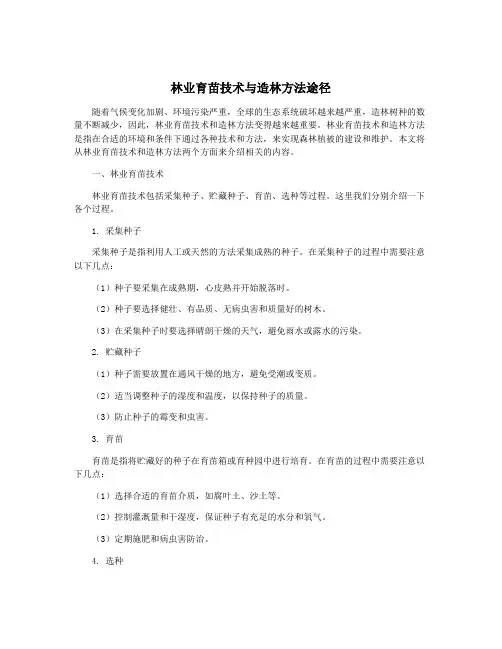 林业育苗技术与造林方法途径