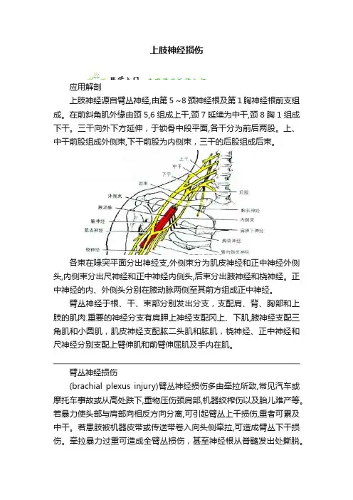 上肢神经损伤