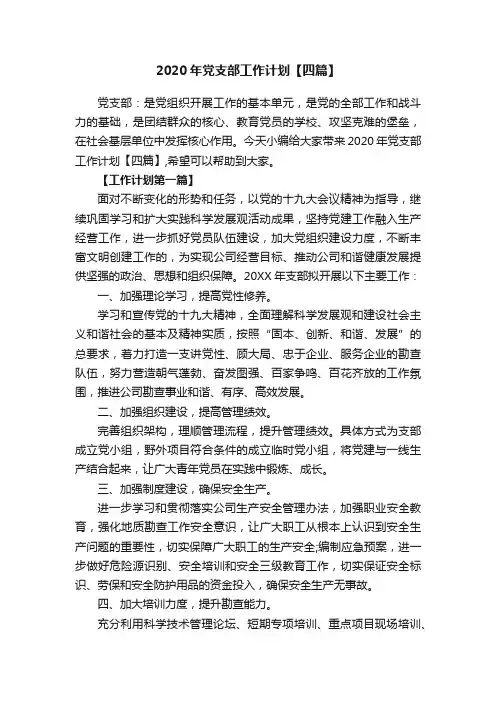 2020年党支部工作计划【四篇】