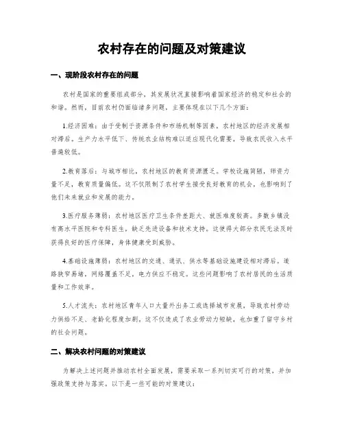 农村存在的问题及对策建议