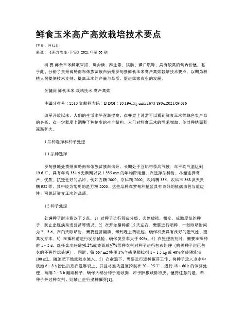 鲜食玉米高产高效栽培技术要点