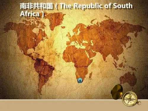 南非共和国