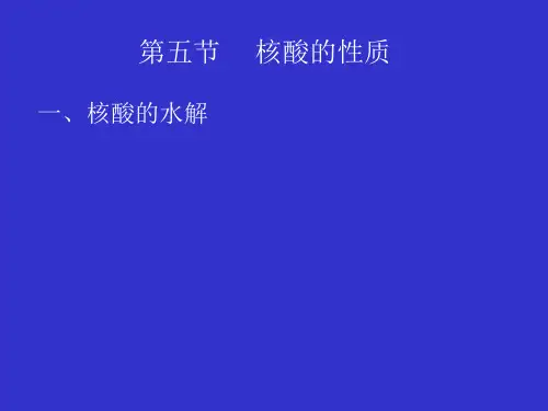 生物化学—核酸的性质
