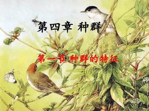 种群的特征(优秀——上课专用)PPT课件