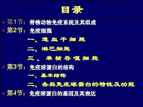 5.16第九章 基因与发育【PPT】.ppt