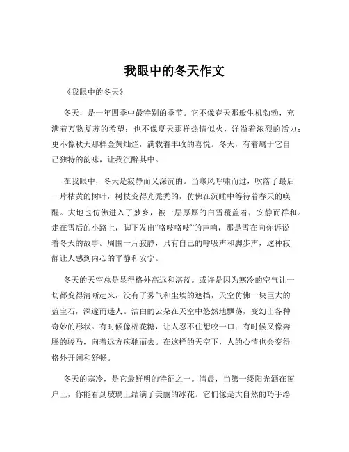 我眼中的冬天作文