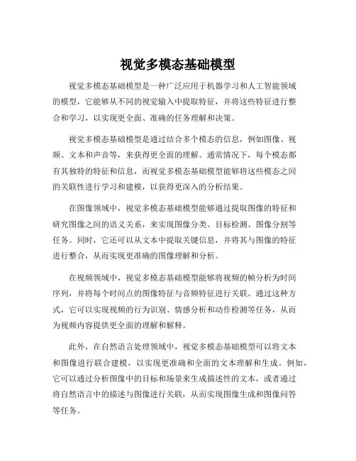 视觉多模态基础模型