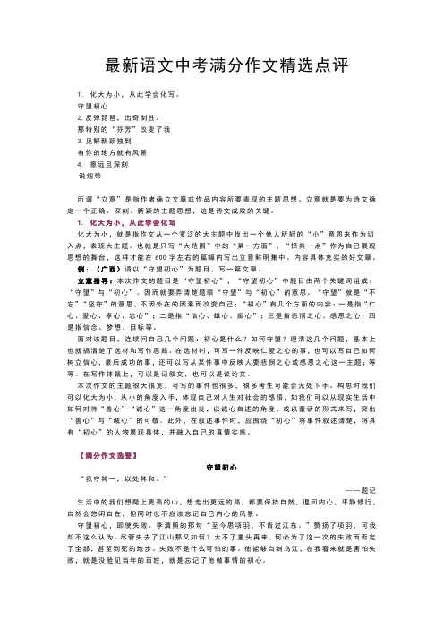最新语文中考满分作文精选点评