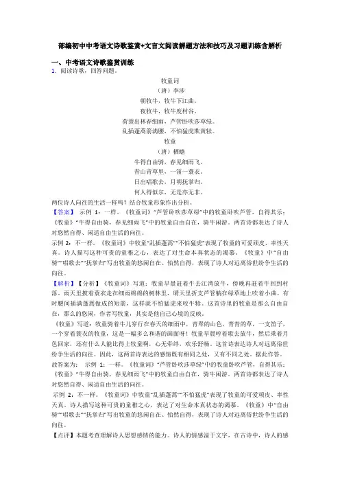 部编初中中考语文诗歌鉴赏+文言文阅读解题方法和技巧及习题训练含解析