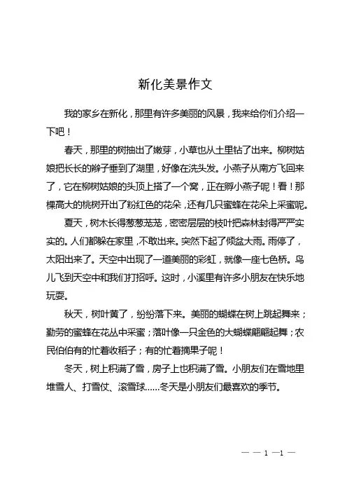 新化美景作文