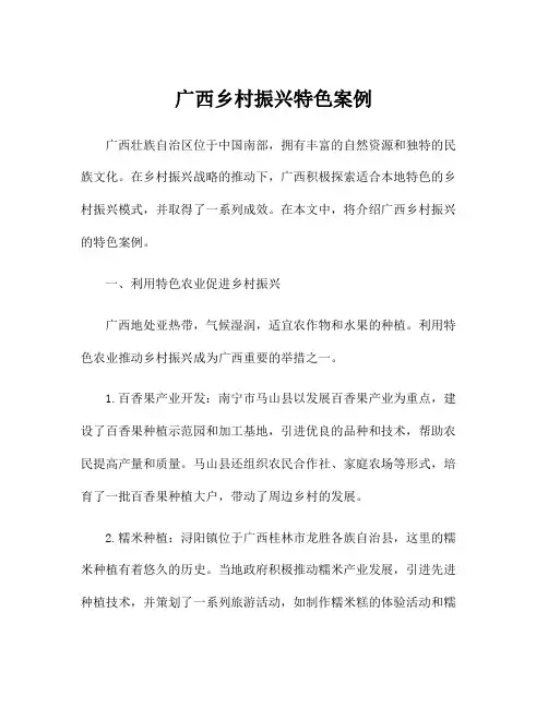 广西乡村振兴特色案例