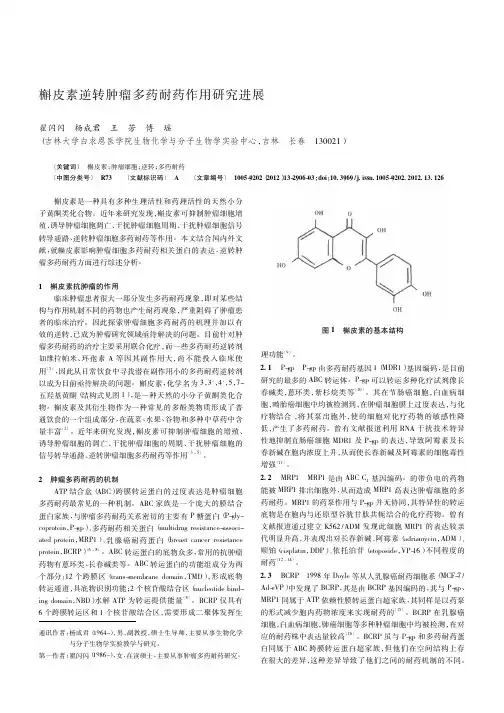 槲皮素逆转肿瘤多药耐药作用进展
