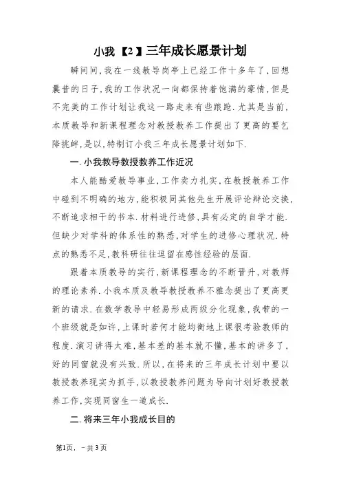 个人三年成长愿景规划