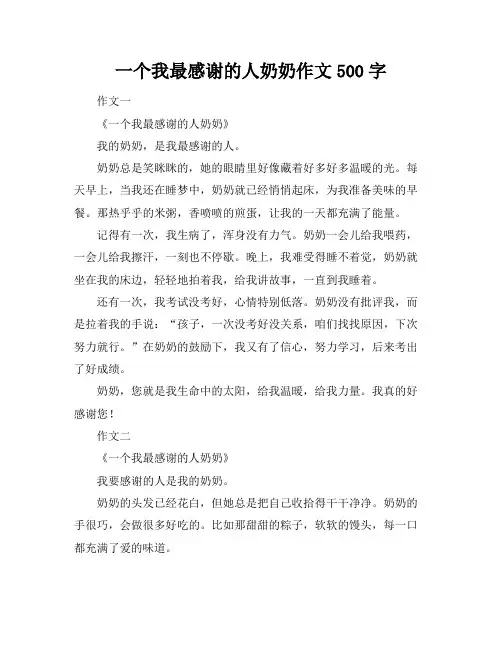 一个我最感谢的人奶奶作文500字
