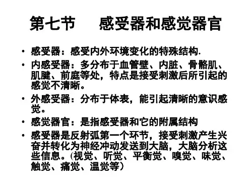 《感受器和感觉器官》