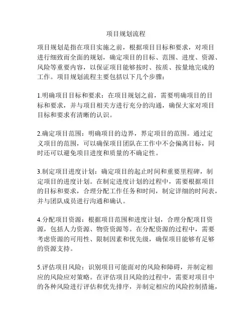 项目规划流程