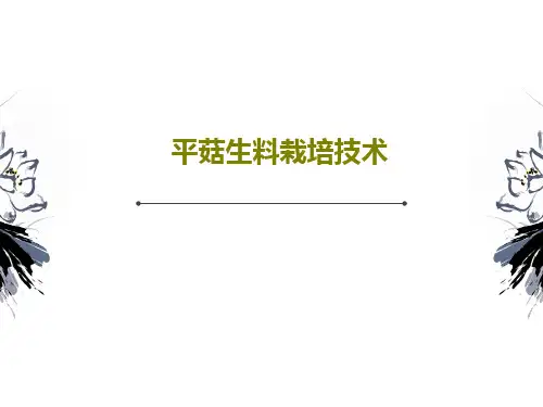 平菇生料栽培技术PPT文档共27页