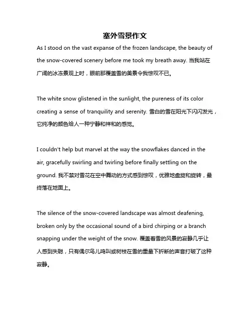 塞外雪景作文