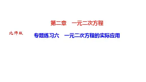 北师版九年级数学上册作业课件(BS) 第二章 一元二次方程 专题练习六 一元二次方程的实际应用