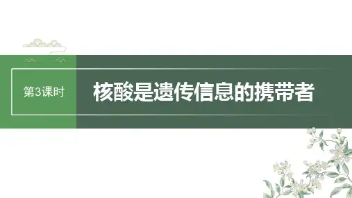 高考一轮复习生物课件(苏教版)第一单元第3课时核酸是遗传信息的携带者含解析