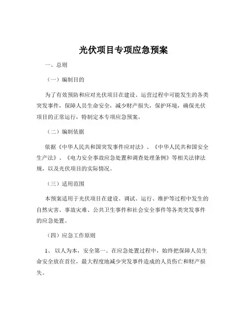 光伏项目专项应急预案