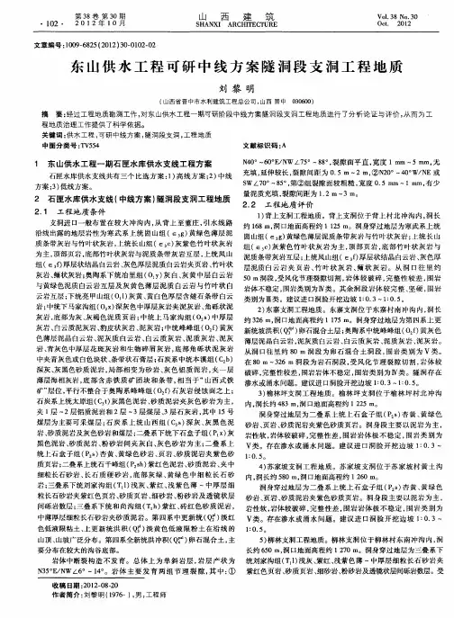 东山供水工程可研中线方案隧洞段支洞工程地质