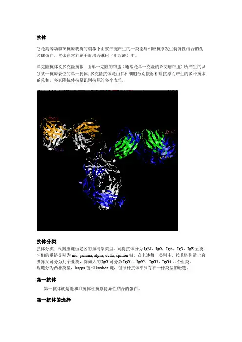 抗体介绍