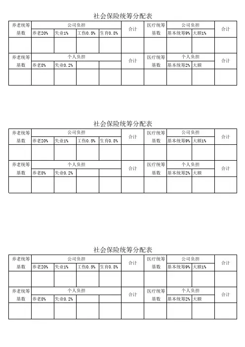 社会保险统筹分配表