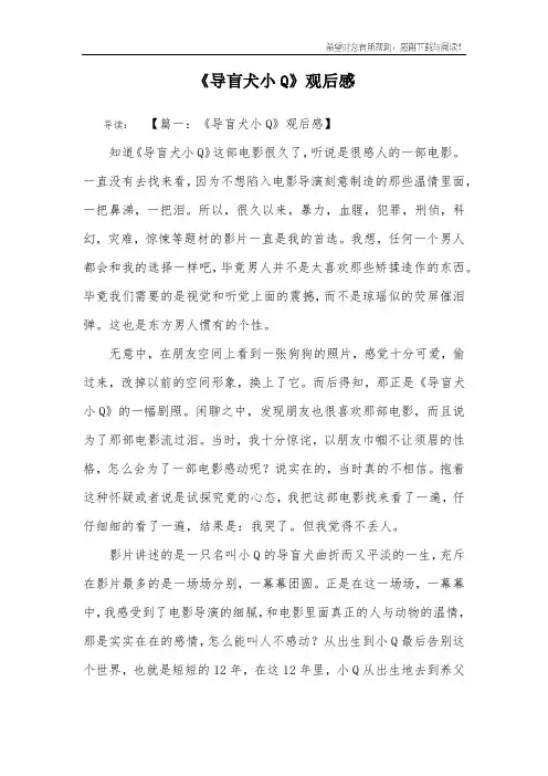 《导盲犬小Q》观后感