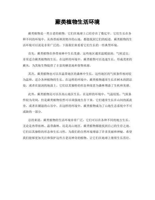 蕨类植物生活环境