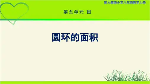 新人教小学六年级数学上册《圆环的面积》示范教学课件