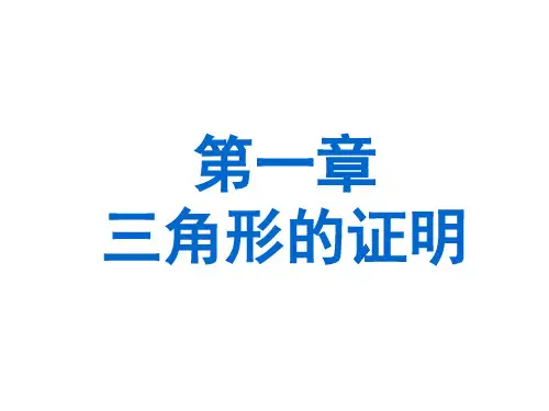 新北师大版八年级下三角形的证明复习资料