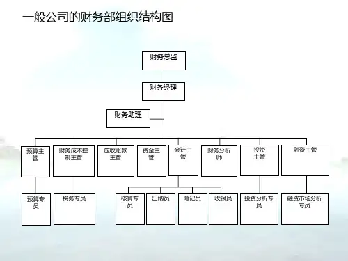 企业财务部门组织架构图