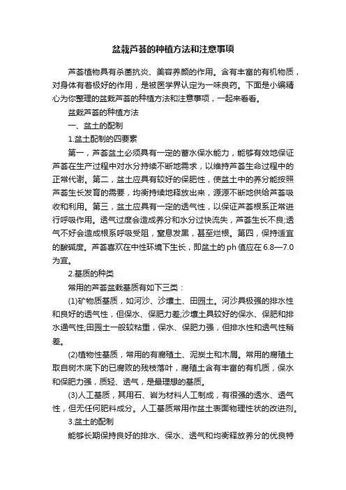 盆栽芦荟的种植方法和注意事项