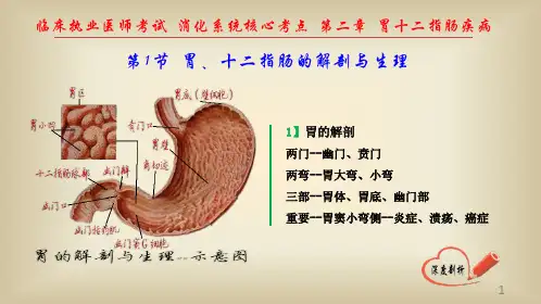 胃、十二指肠部疾病