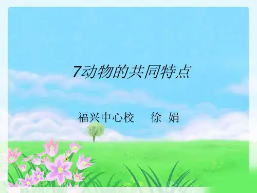 《动物有哪些相同特点》教学优秀课件1