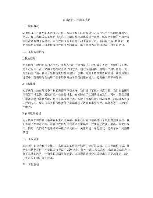 农田改造工程施工情况