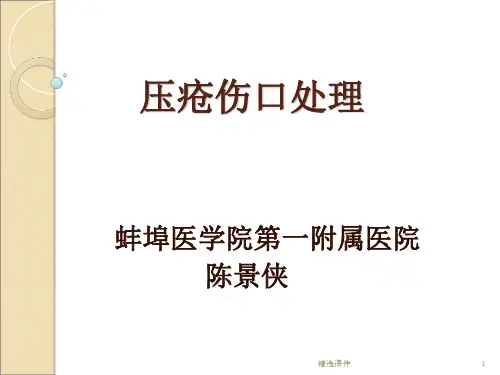 《压疮创面处理》PPT课件
