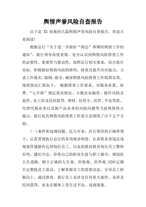 舆情声誉风险自查报告