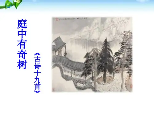 《庭中有奇树》PPT课件