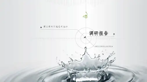 商场调研设计报告ppt课件